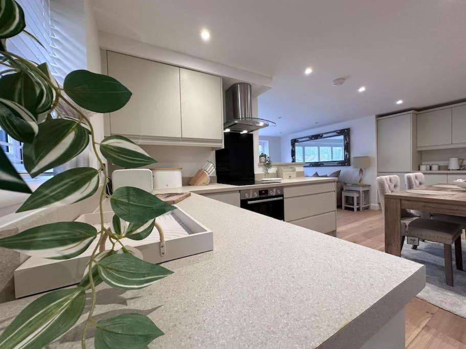 2Bed Ground Floor Flat + Garden Διαμέρισμα Sunningwell Εξωτερικό φωτογραφία